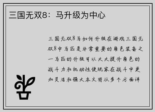 三国无双8：马升级为中心